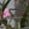 Sub-image 118