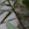 Sub-image 138