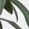 Sub-image 200