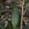 Sub-image 360