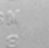 Sub-image 13
