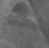 Sub-image 23