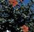 Sub-image 118