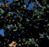 Sub-image 121