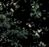 Sub-image 137