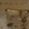 Sub-image 62