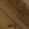 Sub-image 6