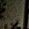 Sub-image 10