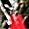 Sub-image 113