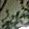 Sub-image 11