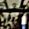Sub-image 66