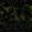 Sub-image 6
