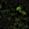 Sub-image 7